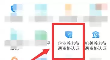 养老保险认证入口