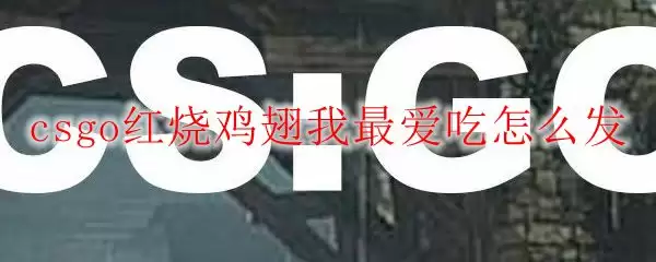 csgo红烧鸡翅我最爱吃怎么发