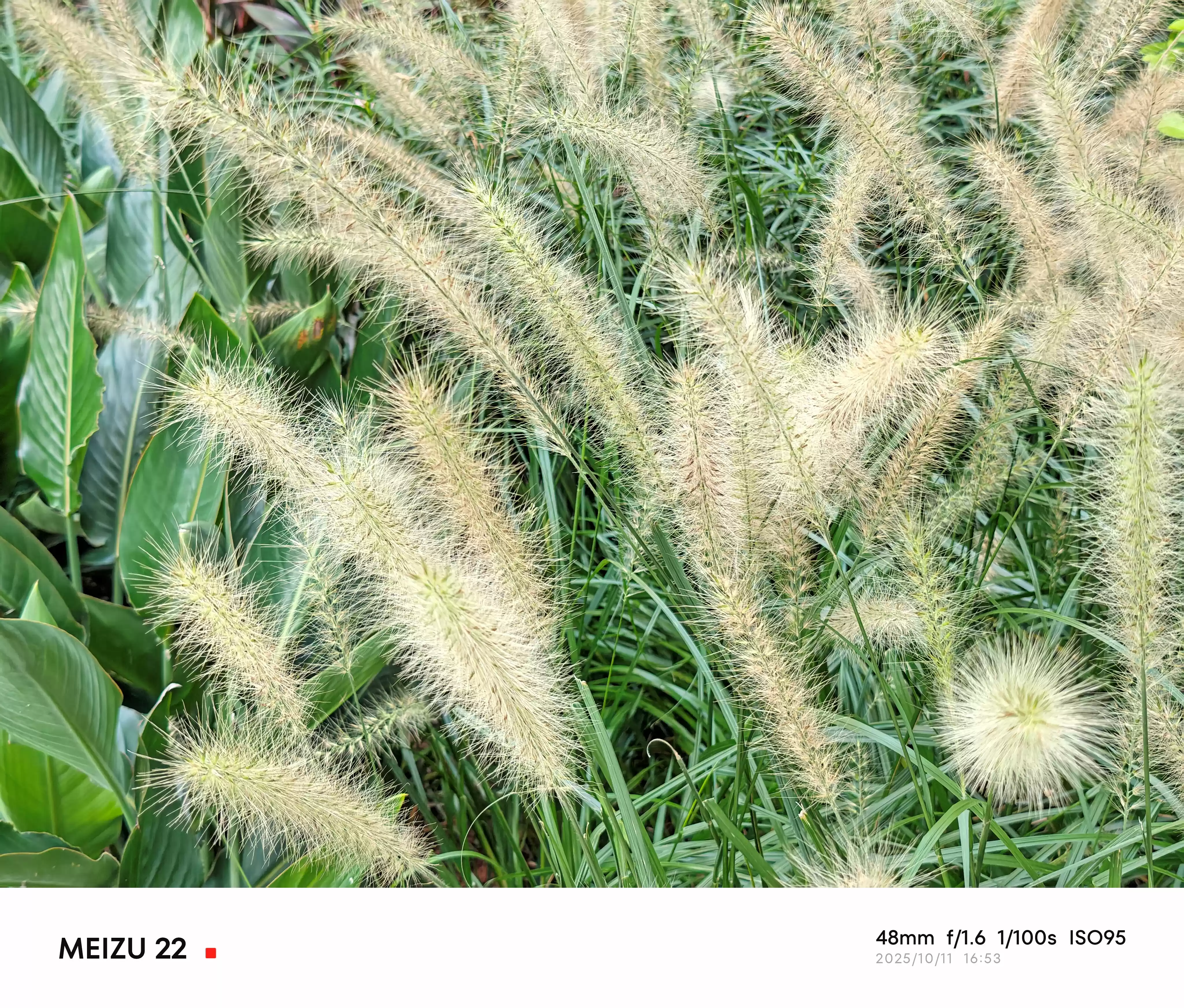 \ P20251011-165341.webp