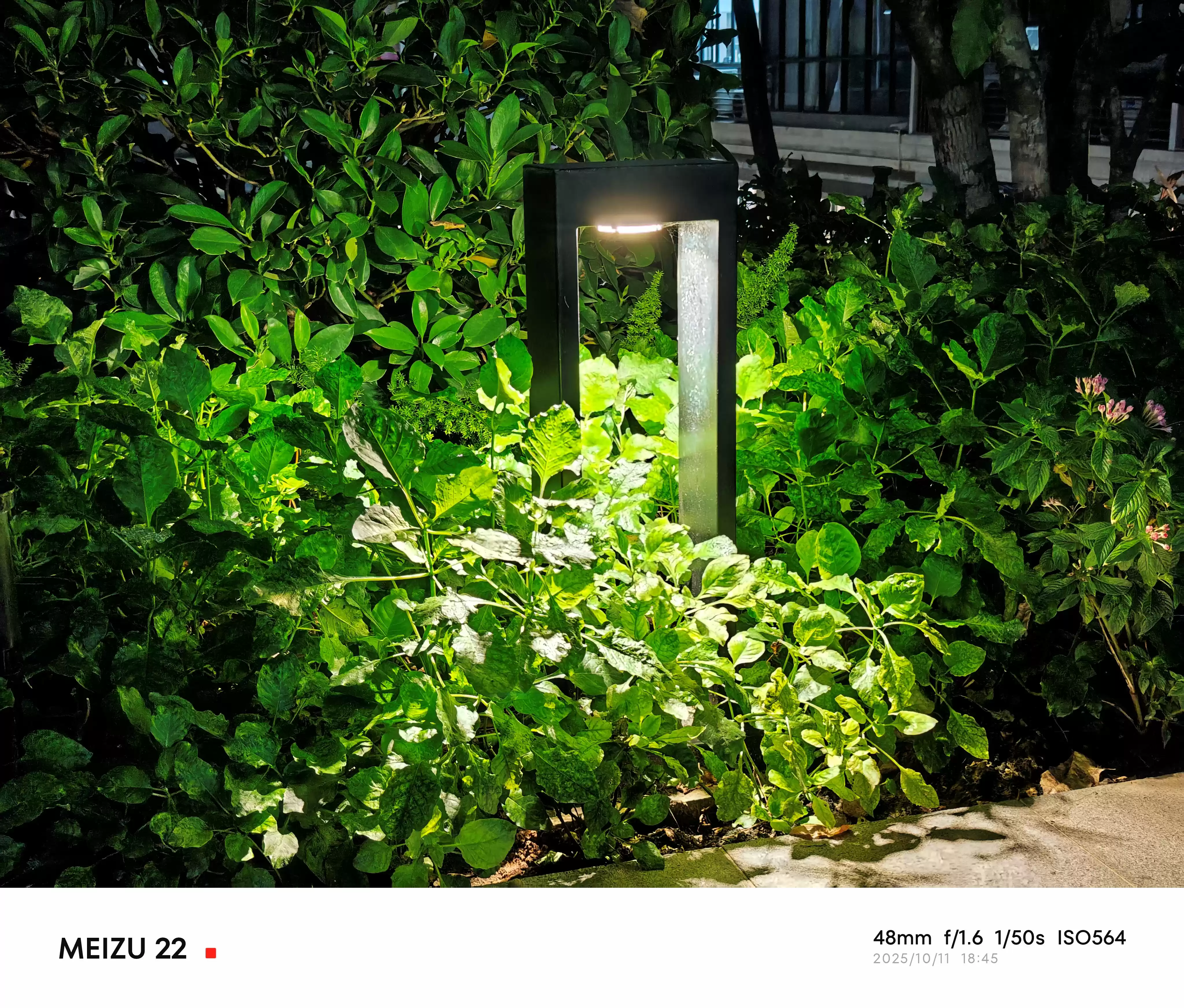 \ P20251011-184528.webp