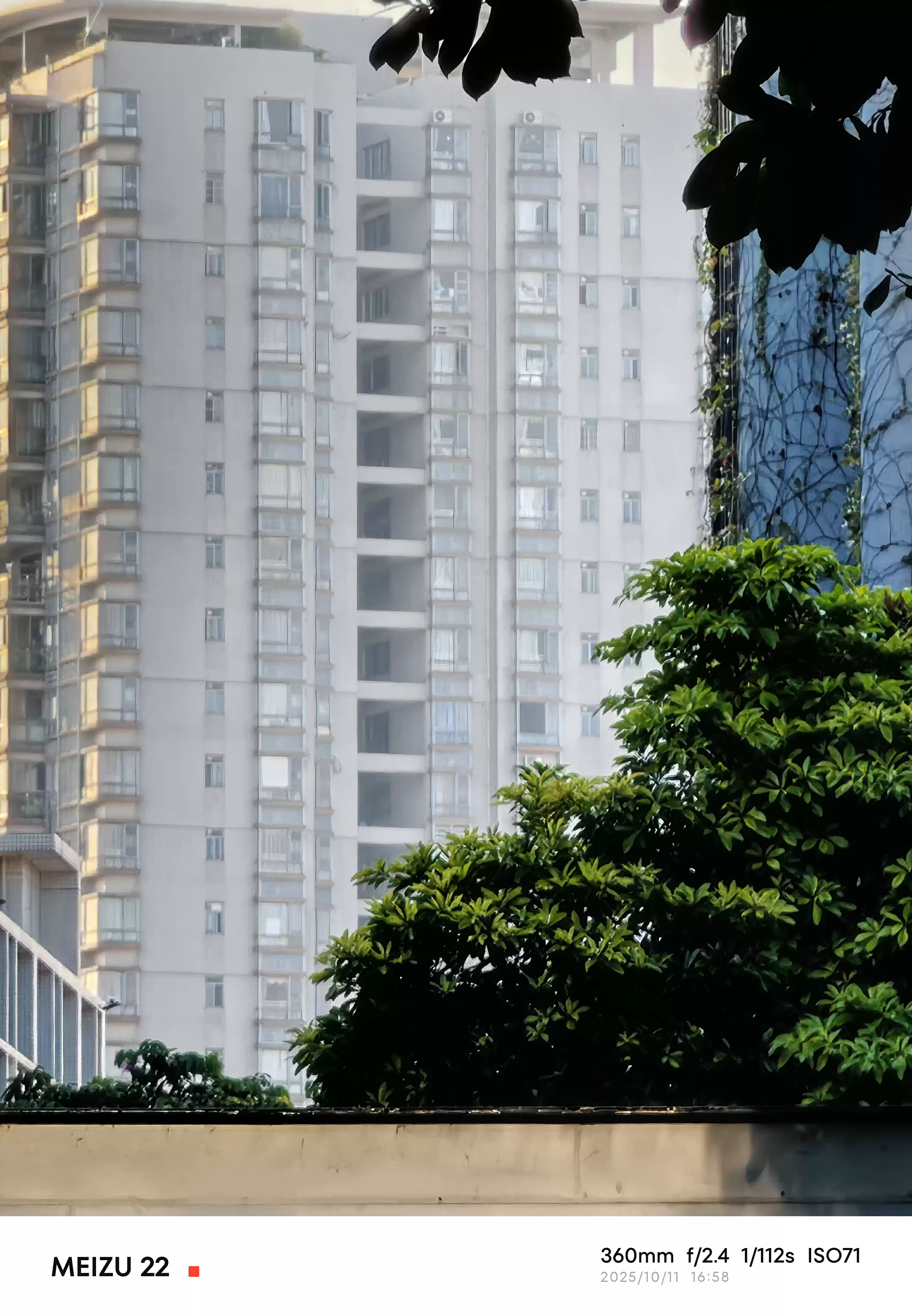 \ P20251011-165810.webp