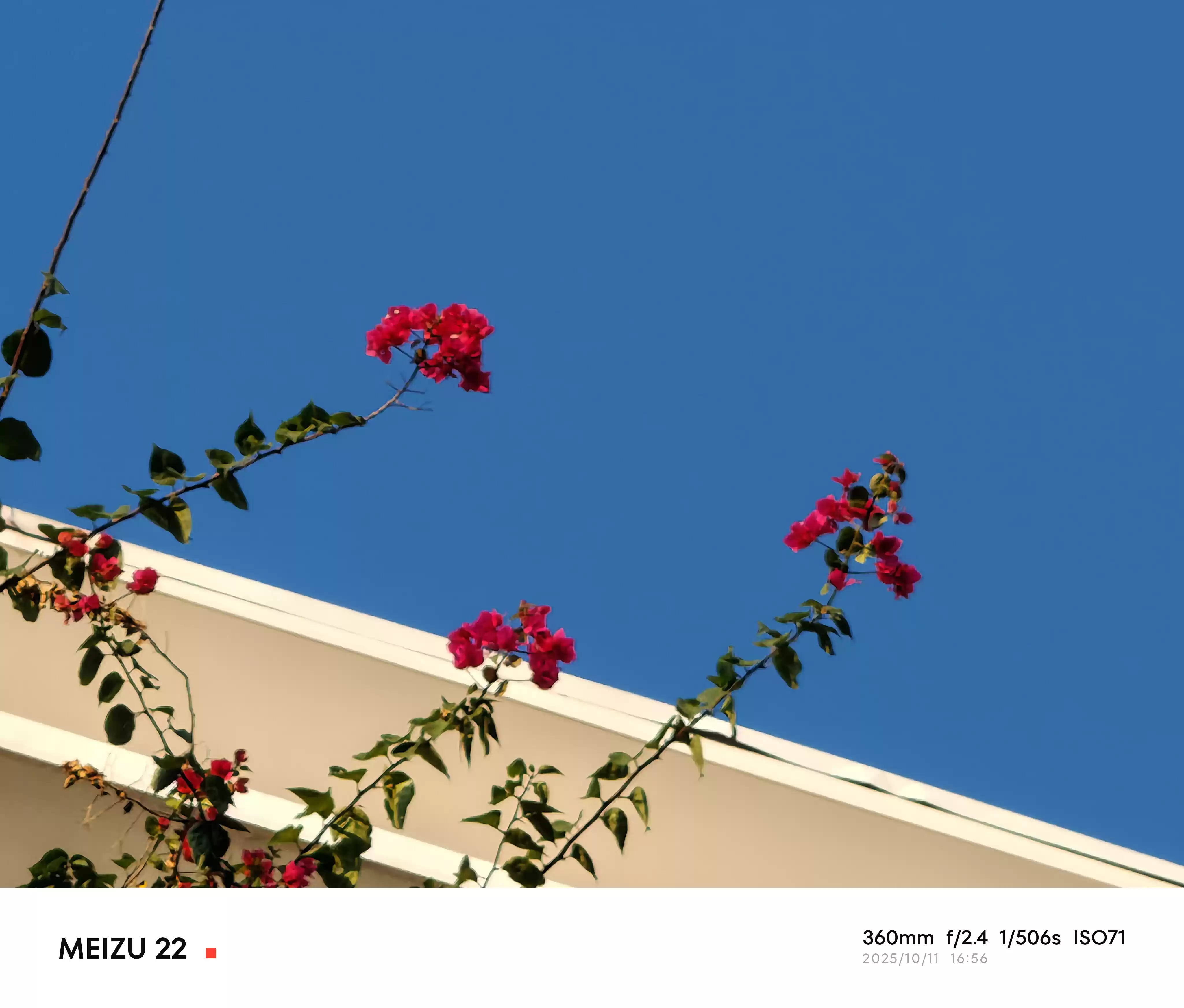 \ P20251011-165629.webp