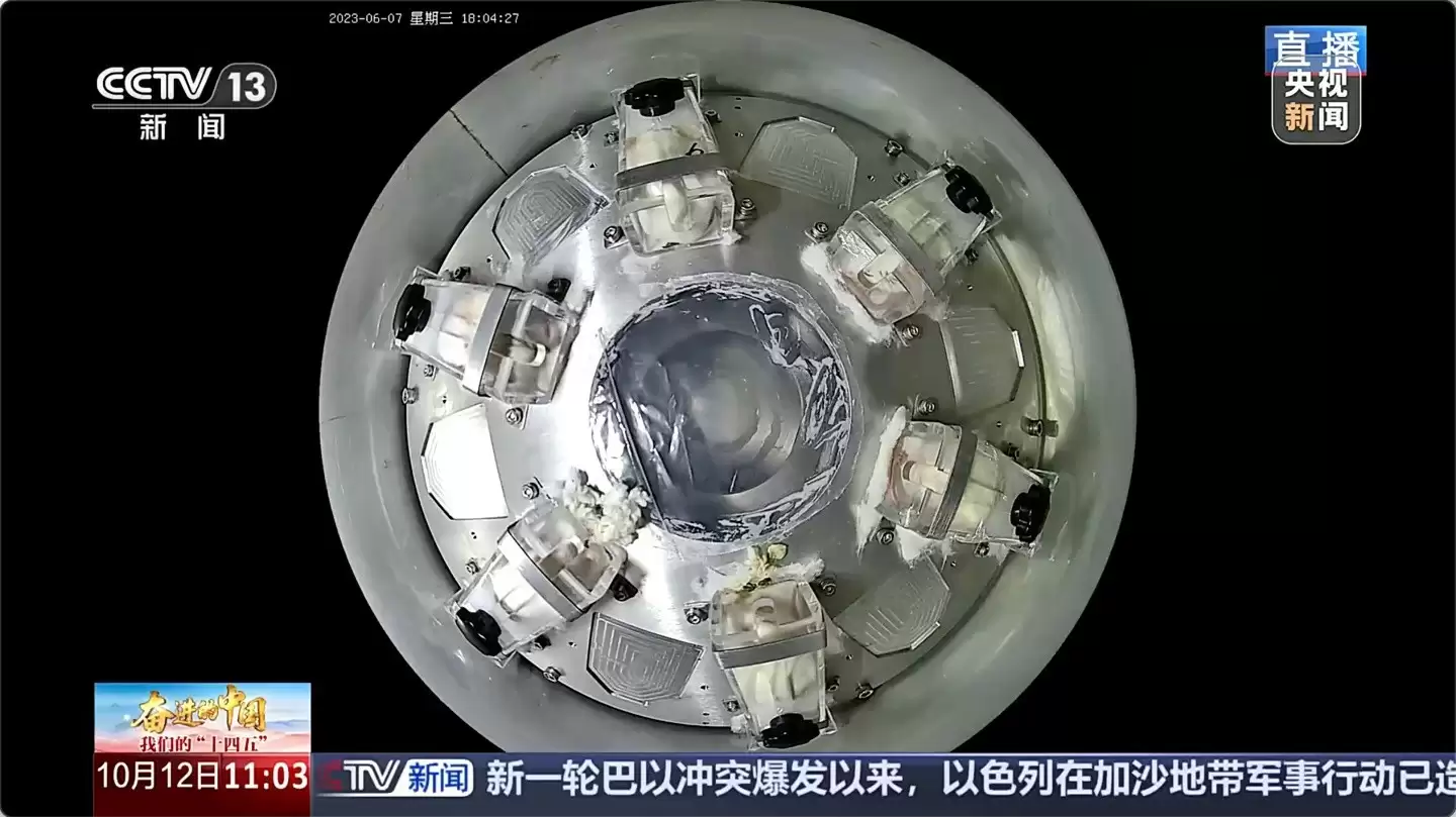 亚洲首个电磁弹射微重力实验装置成功开展小鼠实验