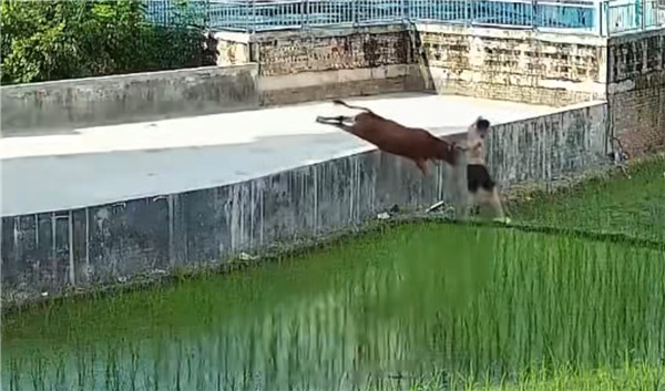 \