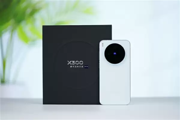 满血2亿灭霸主摄！vivo X300图赏