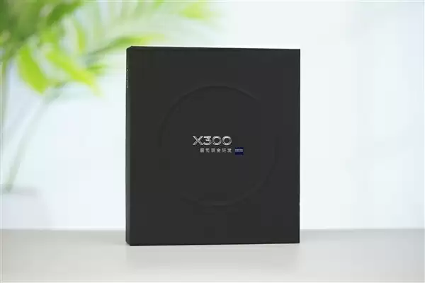 满血2亿灭霸主摄！vivo X300图赏