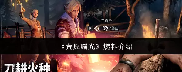 《荒原曙光》燃料介绍