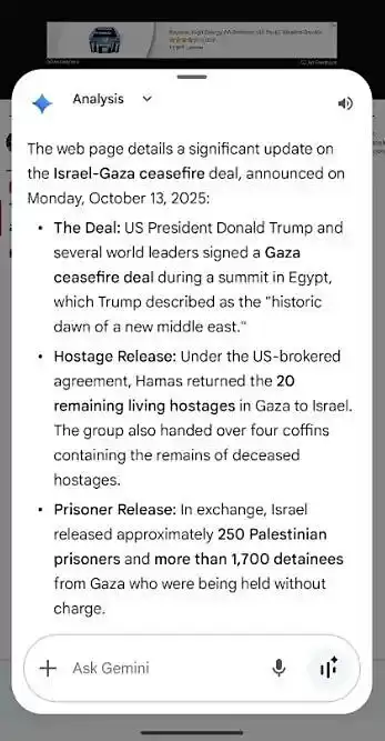 Gemini总结功能展示