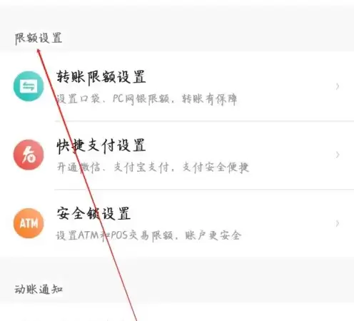 限额设置界面展示