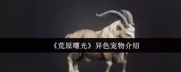 《荒原曙光》异色宠物介绍