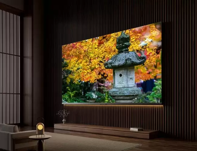 东芝电视携手《中国器乐大会》