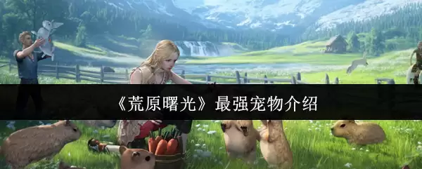 《荒原曙光》最强宠物介绍