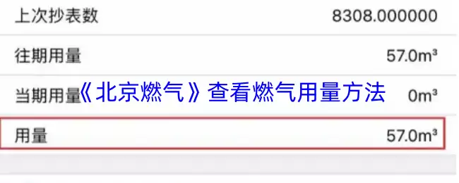 《北京燃气》查看燃气用量方法