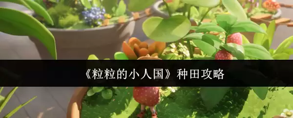 《粒粒的小人国》种田攻略