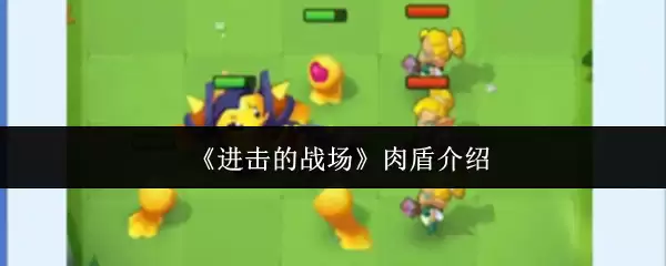 《进击的战场》肉盾介绍