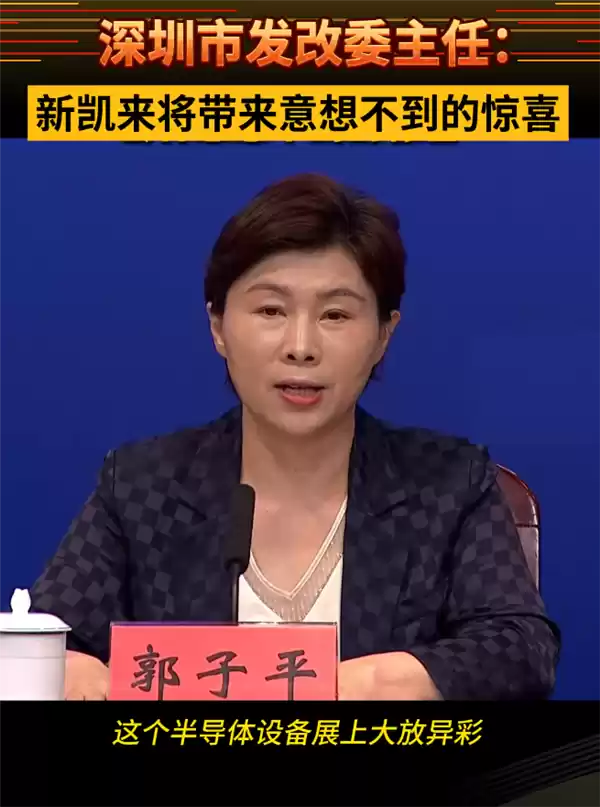 新凯莱子公司发布两款国产自主EDA设计软件：产品硬件开发周期可缩短40%