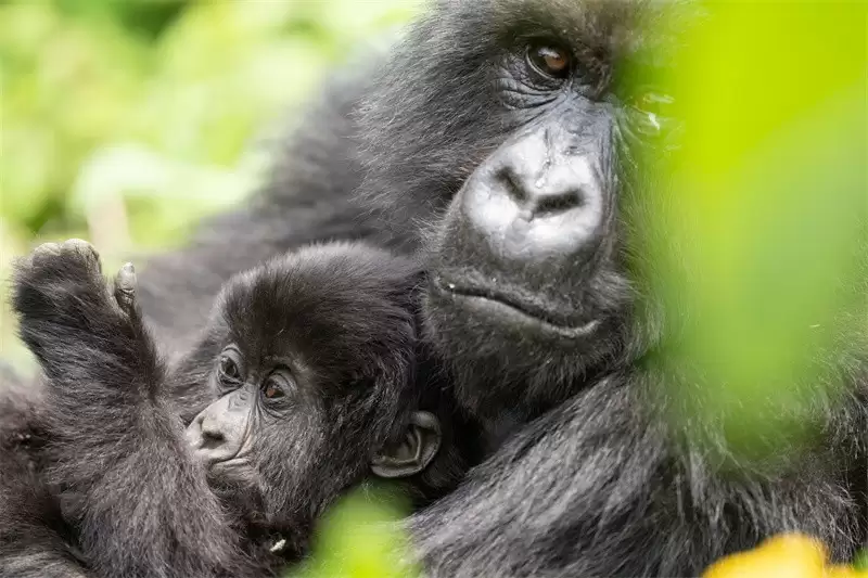 雕刻光影·定格永恒：索尼微单十五周年特别摄影展亮相集美·阿尔勒