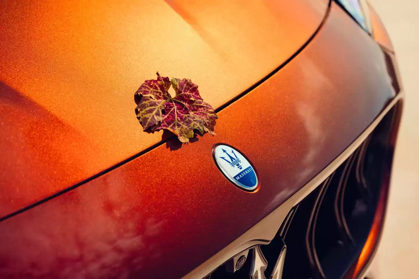 玛莎拉蒂为提振Grecale SUV销量，推Tributo Il Bruciato“红酒”定制版