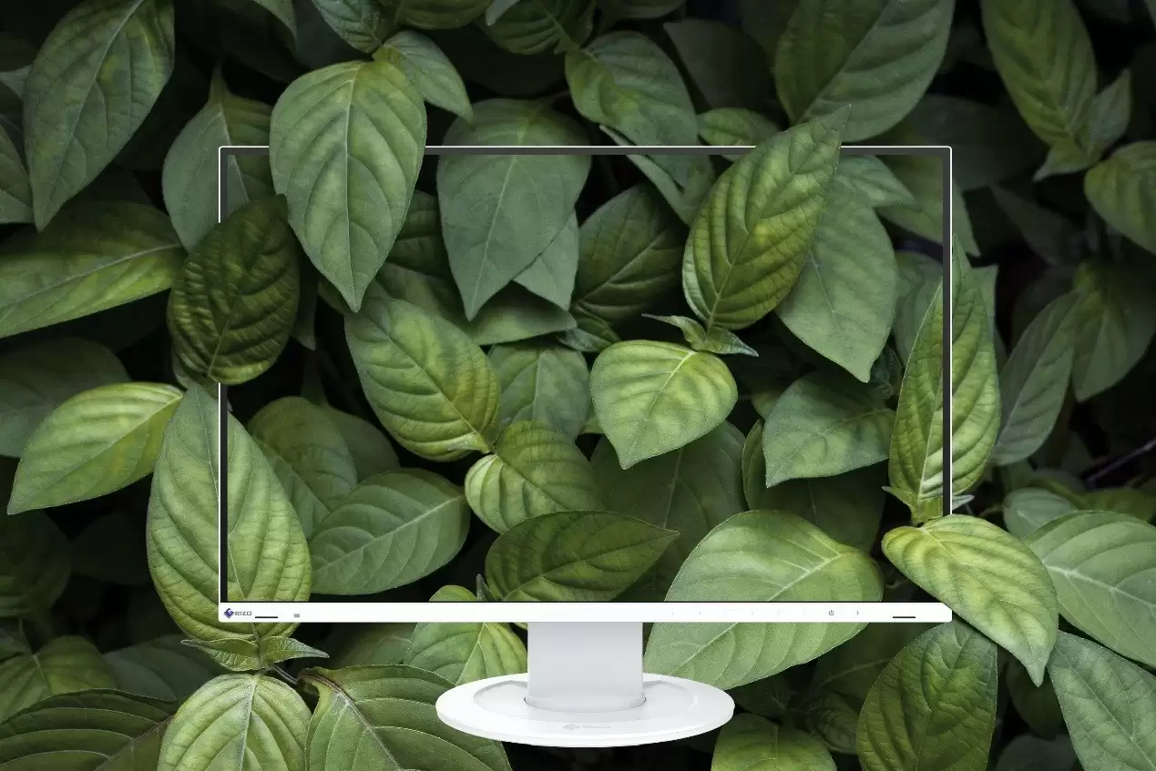 艺卓中国推出适用于商业及其他应用的 24.1 英寸多功能节能显示器 EV2410R