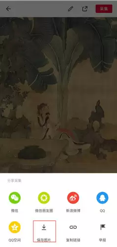 花瓣app图片下载步骤