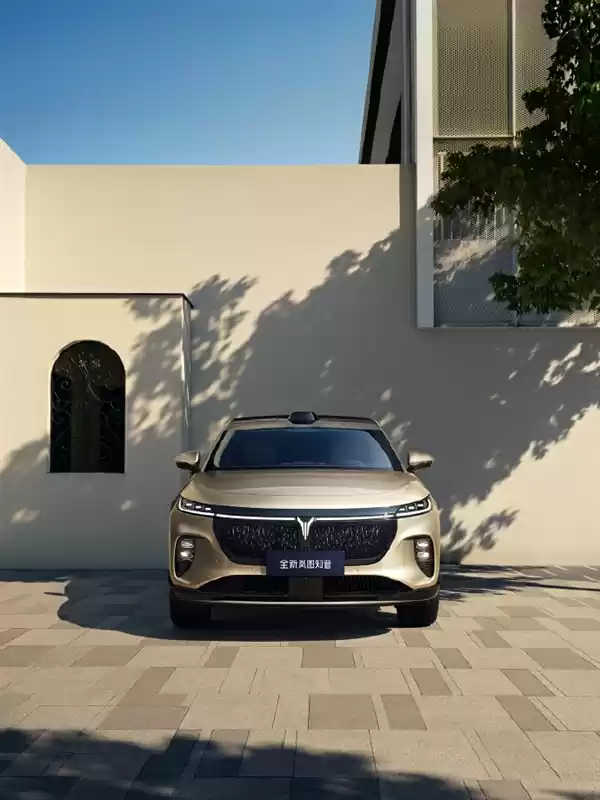 岚图汽车卢放反对电子产品思维造车：汽车从来不是快消品 关乎用户安全与公共安全