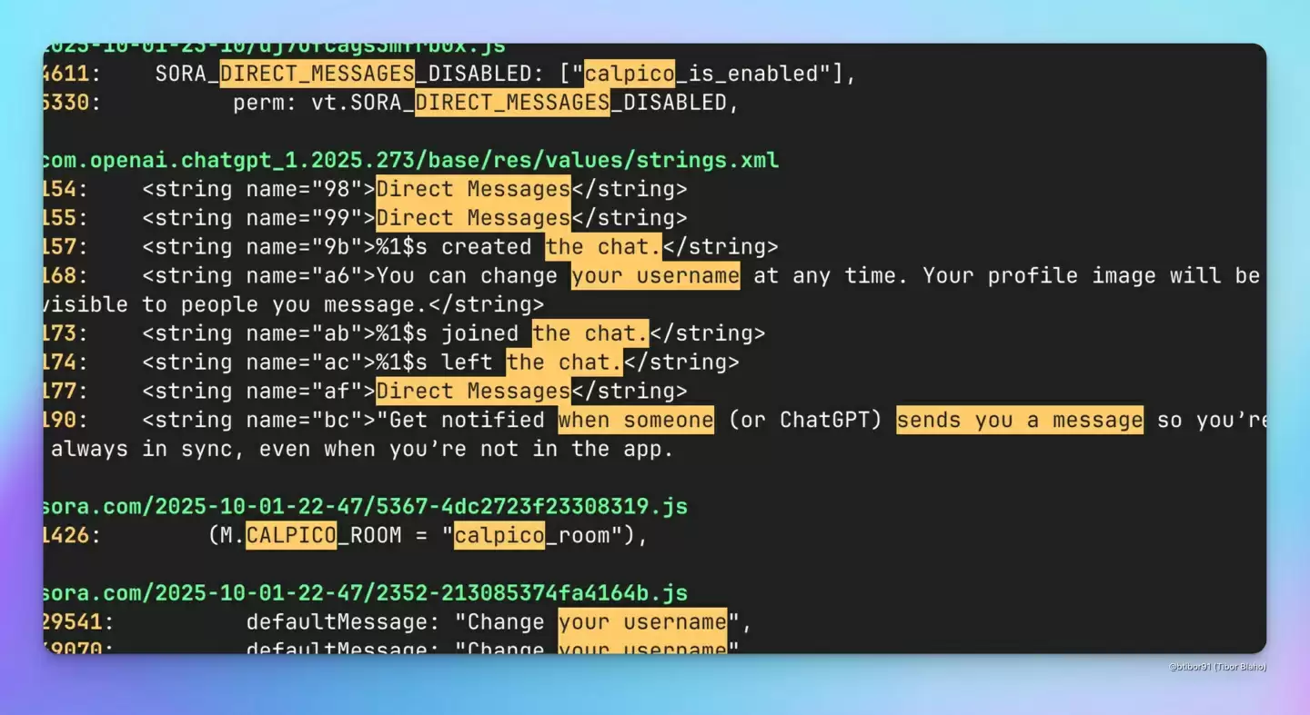 进军聊天软件市场？曝 OpenAI 正测试 ChatGPT 私聊功能