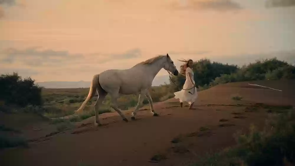 13999元起！尼康ZR全画幅电影摄影机正式开售