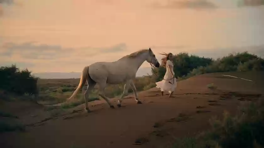 13999元起！尼康ZR全画幅电影摄影机正式开售