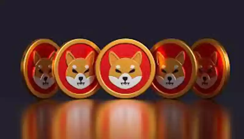 柴犬币（SHIB）是什么？未来前景、价格预测及购买指南 - 菜鸟下载