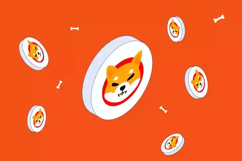 柴犬币（SHIB）是什么？未来前景、价格预测及购买指南 - 菜鸟下载