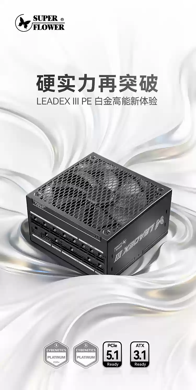 振华推出 LEADEX III PE 电源：白金效率 150mm 长 ATX，最高 1300W