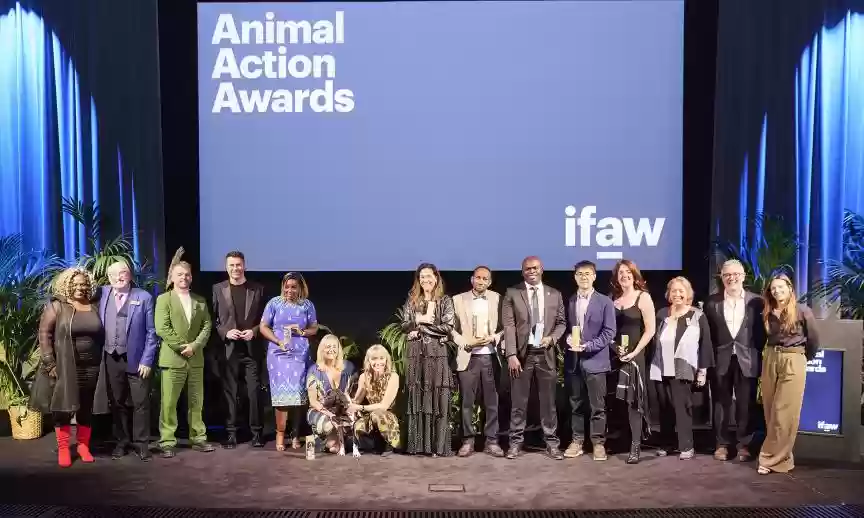 屡获国际大奖！百度“濒危物种AI守护官2.0”摘得第25届爱护动物年度创新实践奖