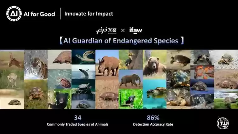 屡获国际大奖！百度“濒危物种AI守护官2.0”摘得第25届爱护动物年度创新实践奖