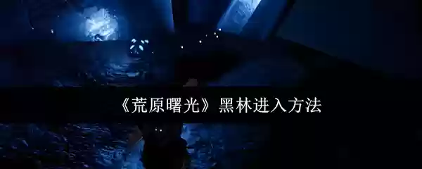 《荒野曙光》黑森林进入方法