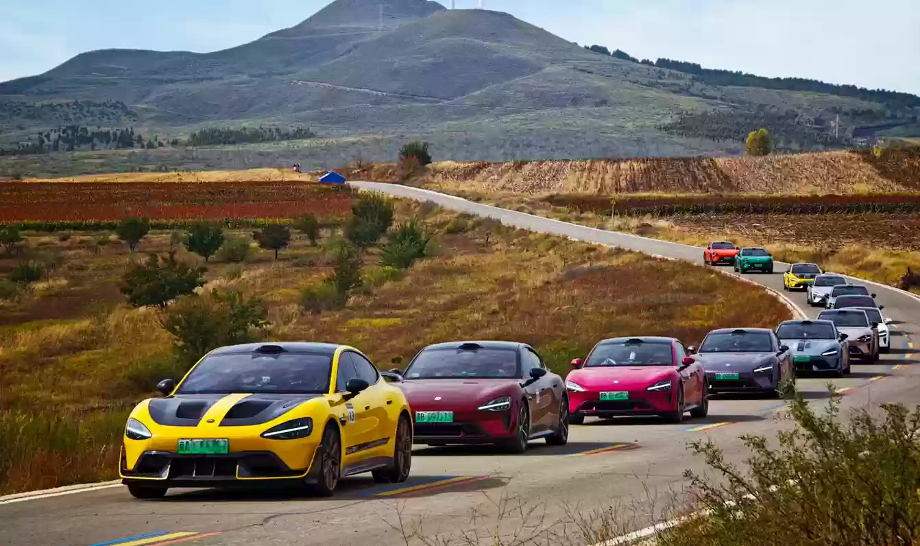 \ 3962b177-6696-4a35-a617-804971e5a624.webp