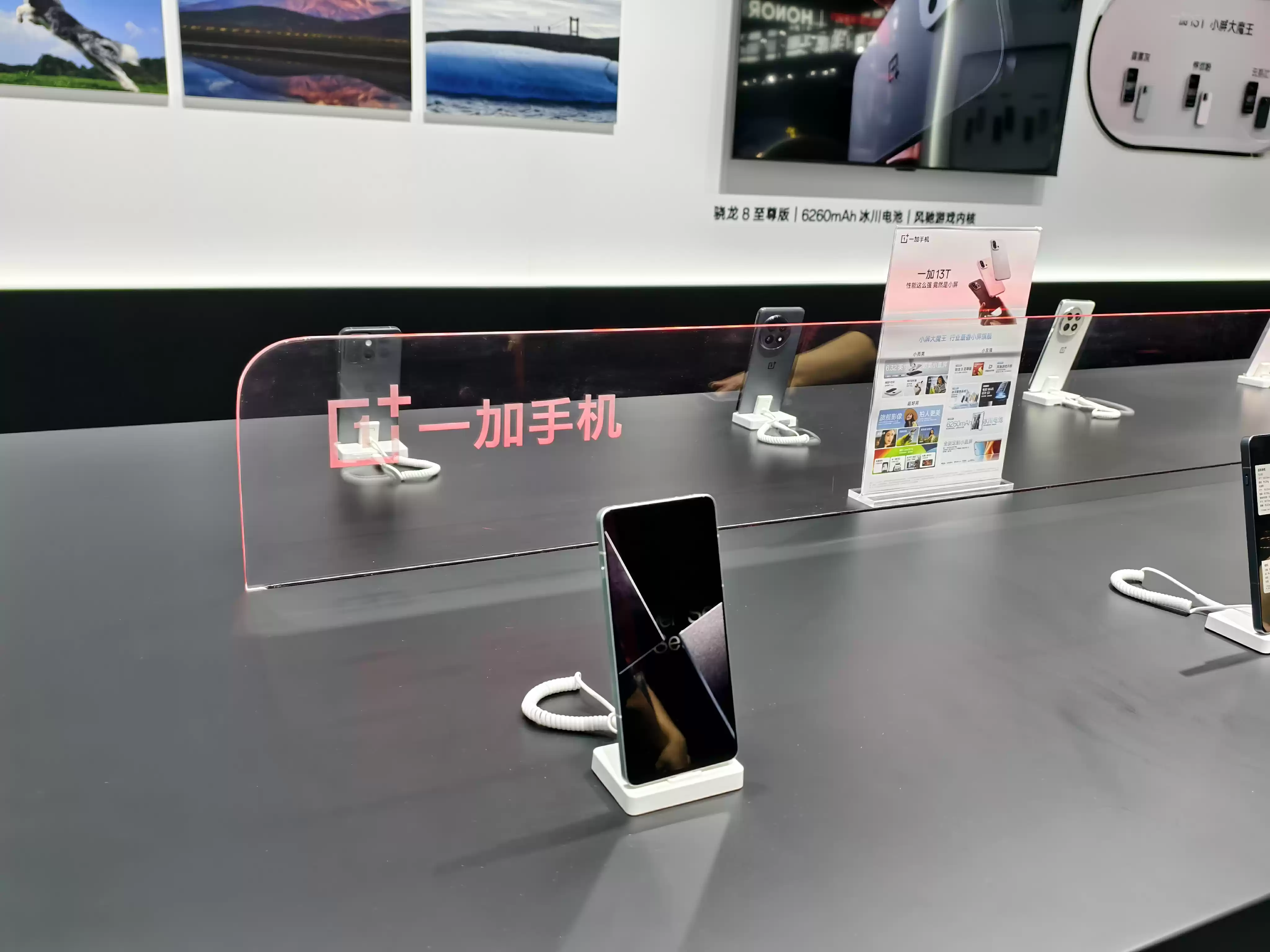 \ WechatIMG1239.webp