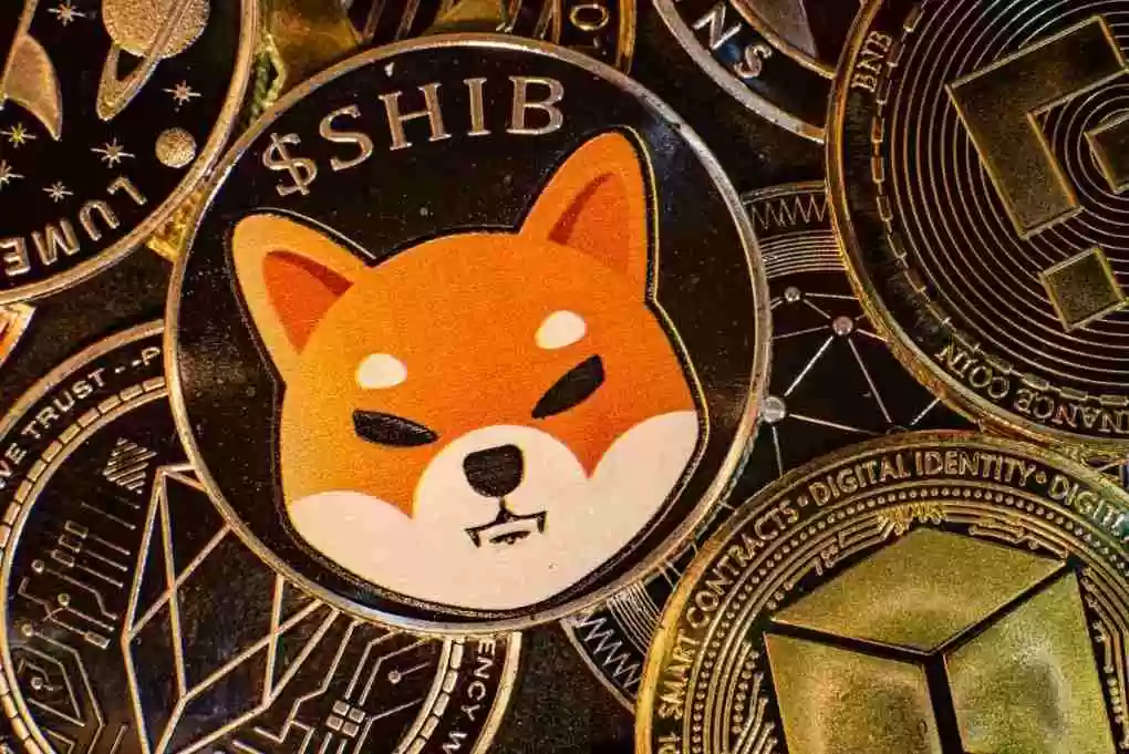 柴犬币（SHIB）是什么？SHIB未来前景、价格预测及购买方法