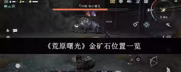《荒野曙光》金矿石位置一览