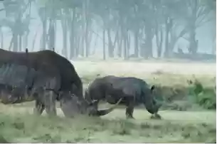 索尼举办“哇！哦！生物多样性摄影比赛”，以影像记录自然的精彩瞬间