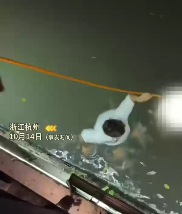 男子将救人视频发短视频平台遭被救女子举报:因“侵犯肖像权”