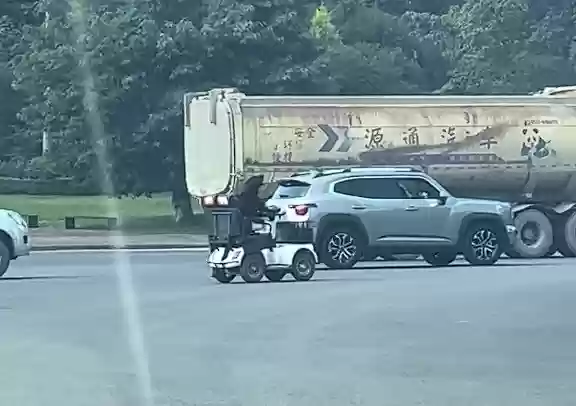 网友拍到一拉布拉多开电动车上路 狗主人：练习仅一个月