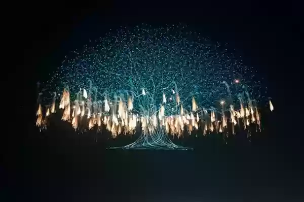 浏阳无人机烟火秀破世界纪录 马斯克转发相关视频