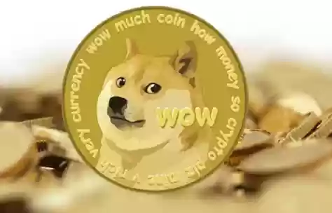 狗狗币怎么快速到账_狗狗币快速到账的交易方法 - 菜鸟下载