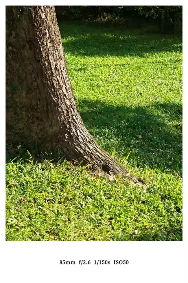 2025长焦手机推荐 荣耀Magic8以AI引领影像未来