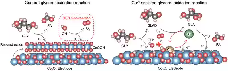 电催化甘油氧化反应中引入铜离子，有效提升反应效率与稳定性