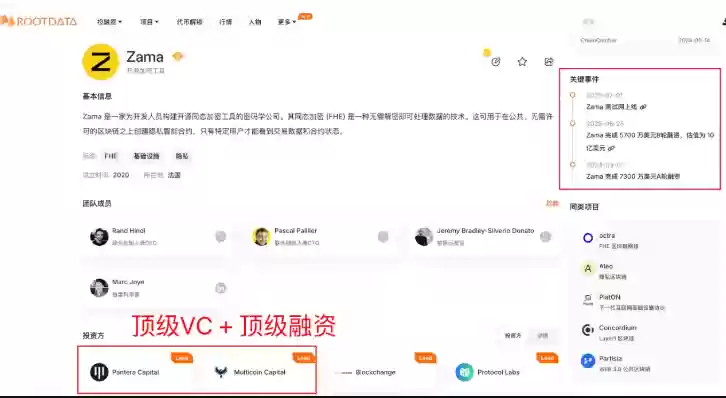 隐私协议Zama FHE代币爆火：全球AI监管加码，加密数据计算行情领跑 - 菜鸟下载