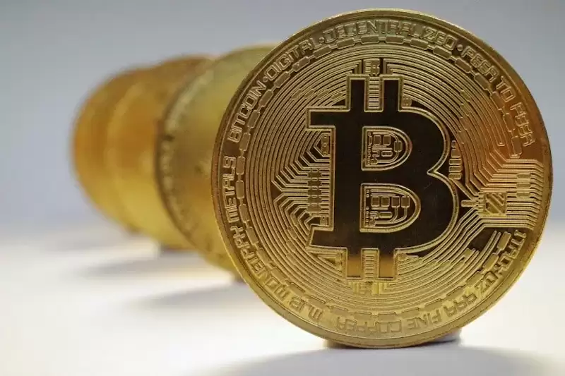 比特币长期持有者自10月15日以来减少2.8万枚BTC - 菜鸟下载