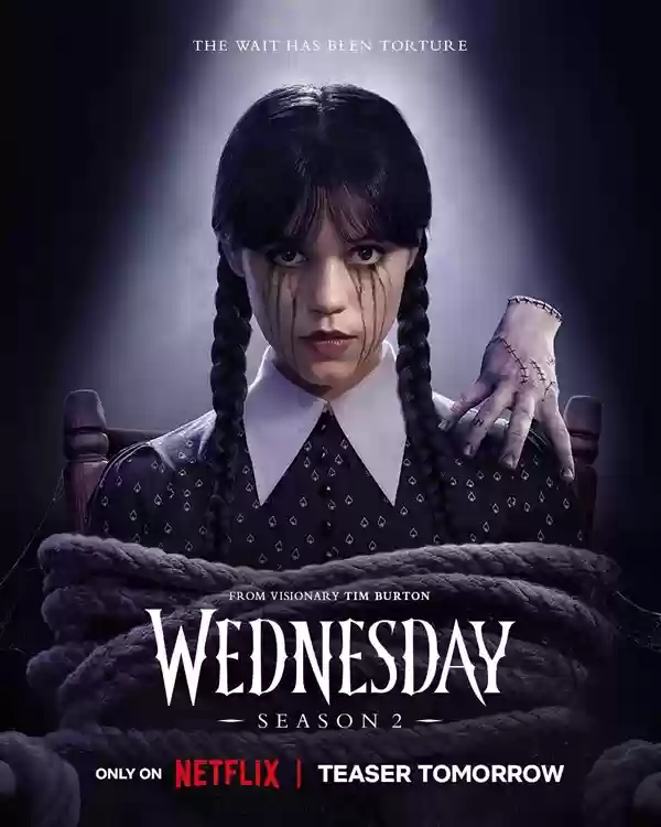 网飞继续增长