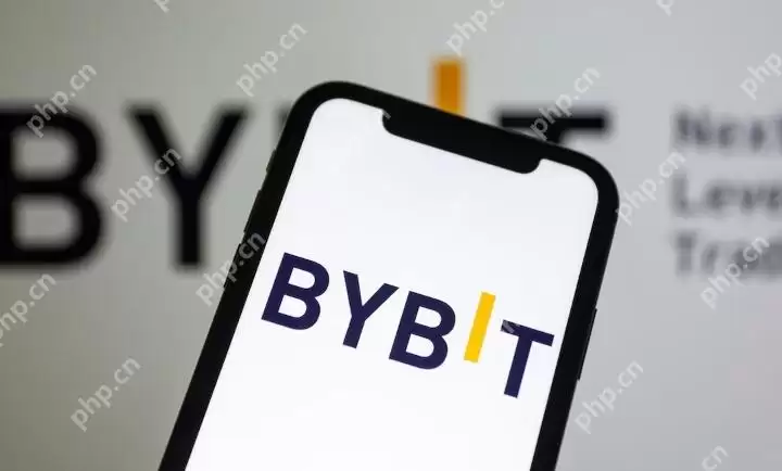 Bybit交易所官方入口网站地址 Bybit官网手机APP下载链接 - 菜鸟下载