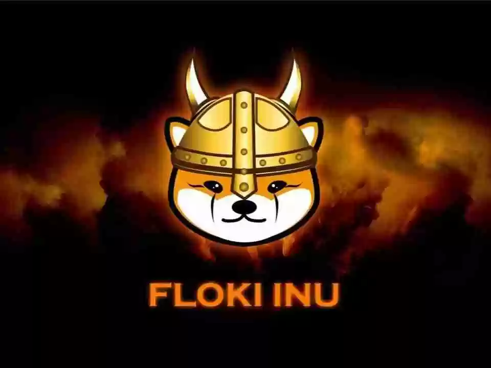 FLOKI未来如何？怎么买？FLOKI价格预测：2026年、2030年、2050年